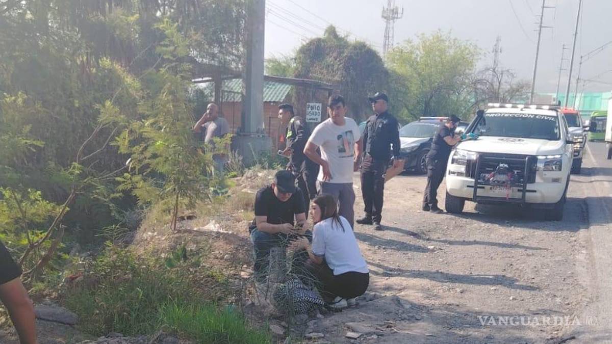 Adolescente, de 17 años, cae con su auto en arroyo en Santa Catarina, Nuevo León