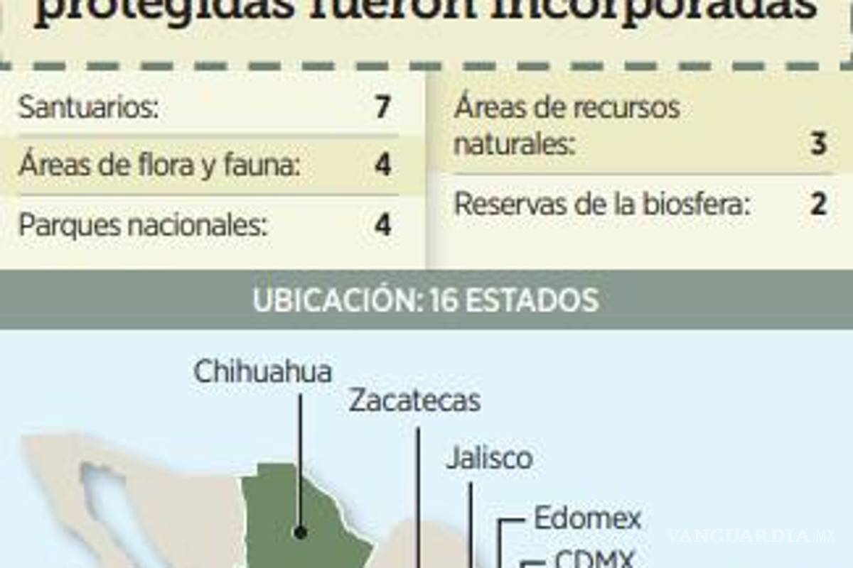 $!Paga sector industrial 10.25% más cara la energía eléctrica durante 2023