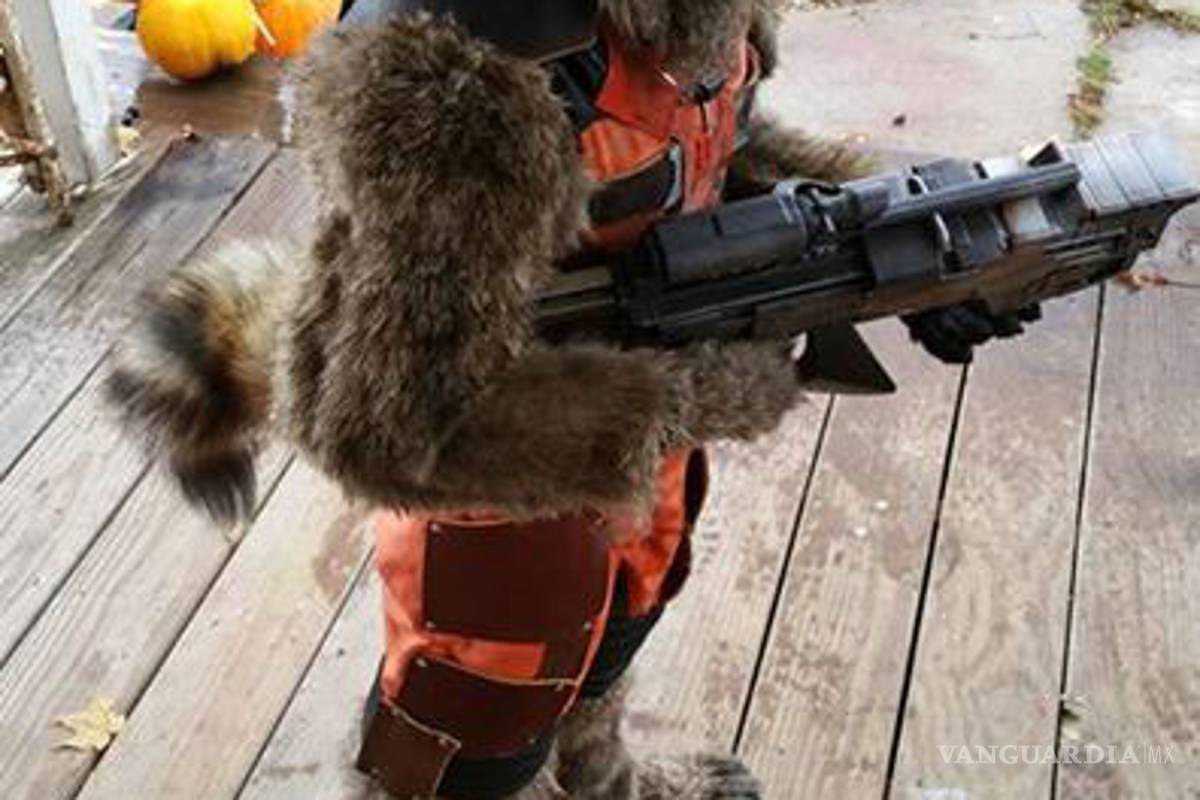 Madre hace un increíble disfraz de Rocket Racoon para Halloween para su hijo