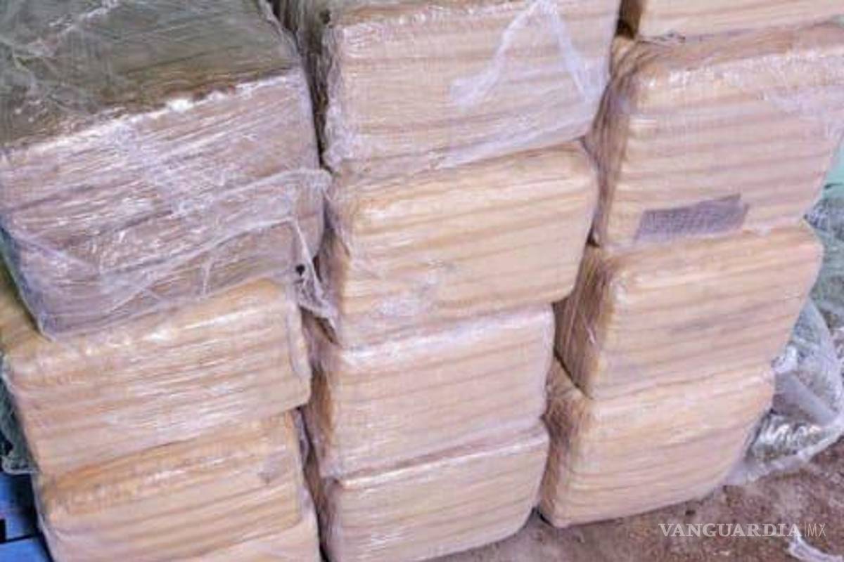 Nuevo León: Incautan más de 260 kilos de droga en cateos a viviendas en Apodaca