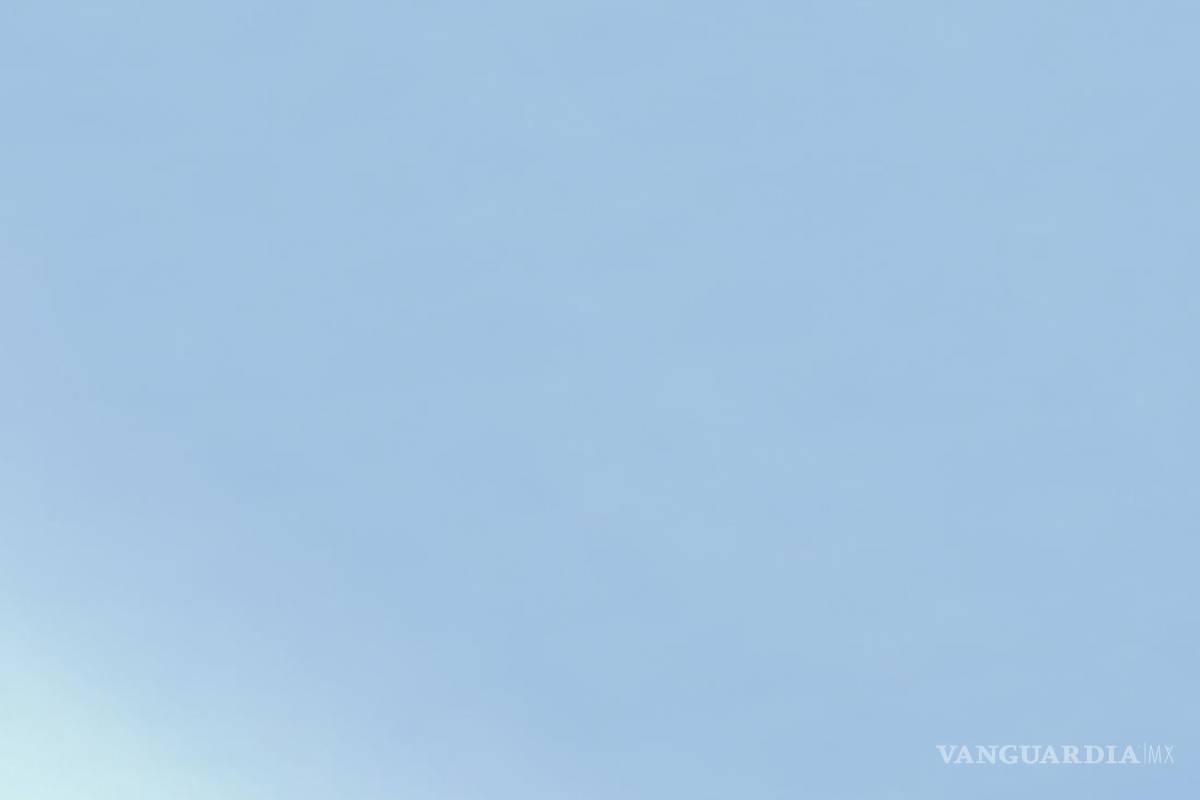 Se buscará más apoyo aéreo para incendio en el Cañón de San Lorenzo en Coahuila