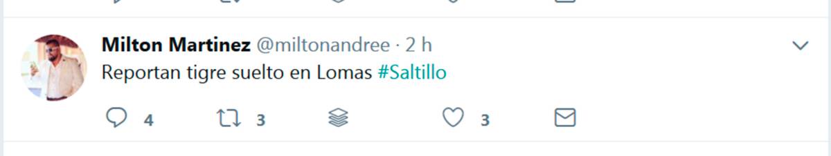 $!Tigre "suelto" causa polémica en Saltillo... era de peluche