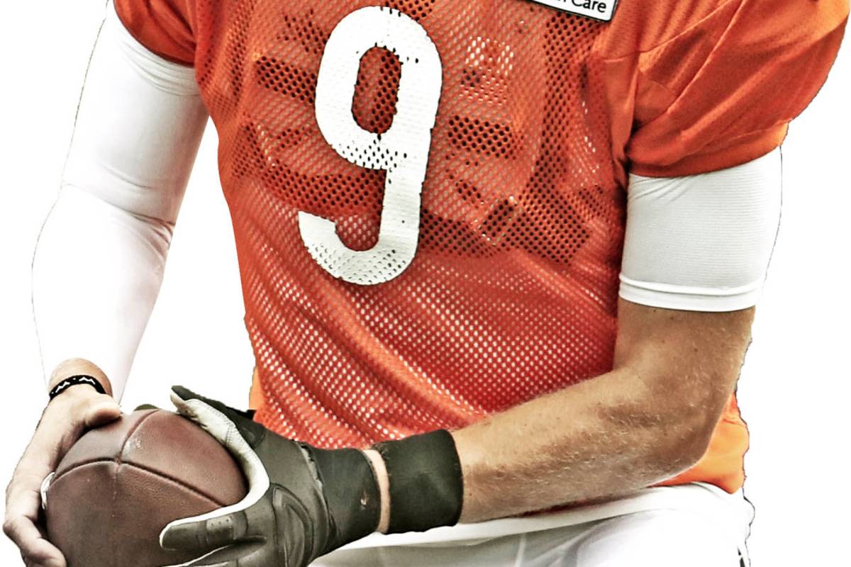 Un vistazo a la NFC Norte rumbo a la Temporada 2020