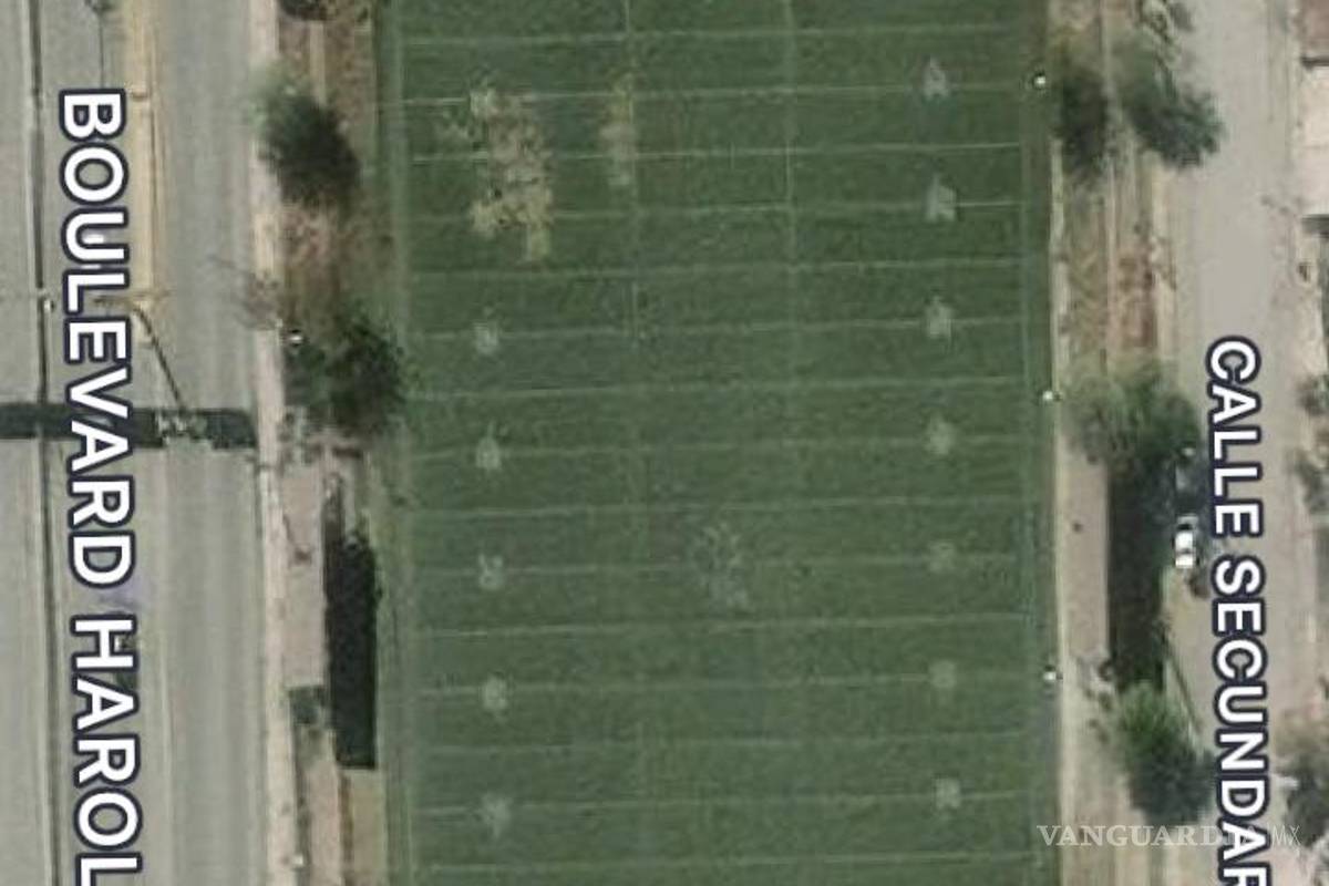 AHMSA vende terrenos en Monclova valuados en varios millones de pesos; es ilegal, afirma titular de CMIC