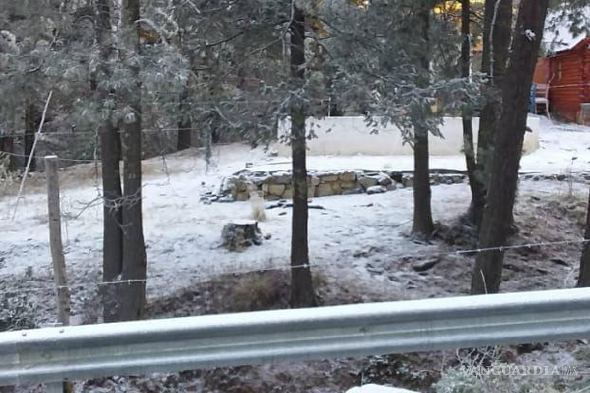 Sierra de Arteaga: reportan temperaturas de hasta -6 grados