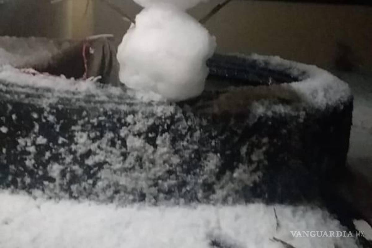 Nuevo León registra primera nevada del 2022 en Galeana