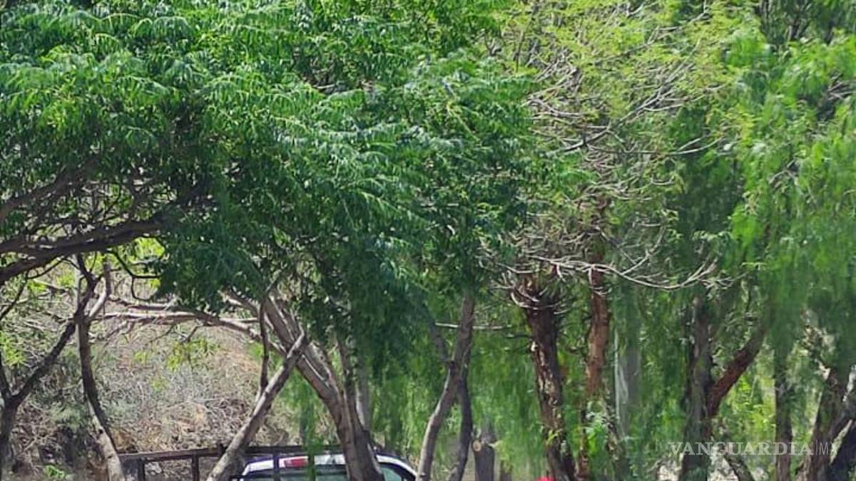 Rescatan a 18 cachorros en la sierra de Zapalinamé