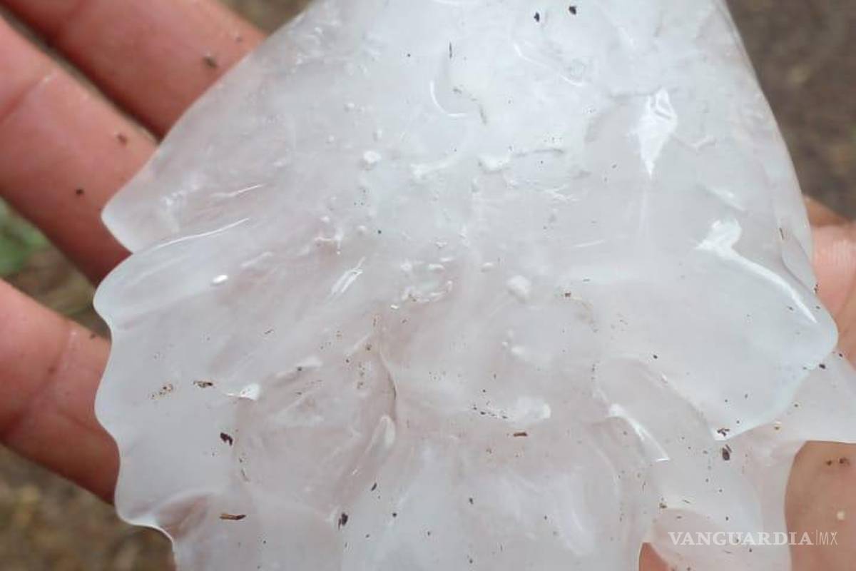 Registra Anáhuac, Nuevo León, caída de grandes bolas de granizo