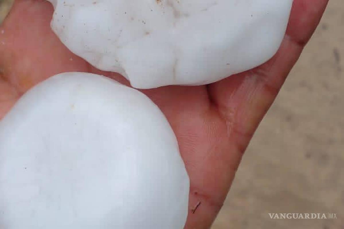 Registra Anáhuac, Nuevo León, caída de grandes bolas de granizo