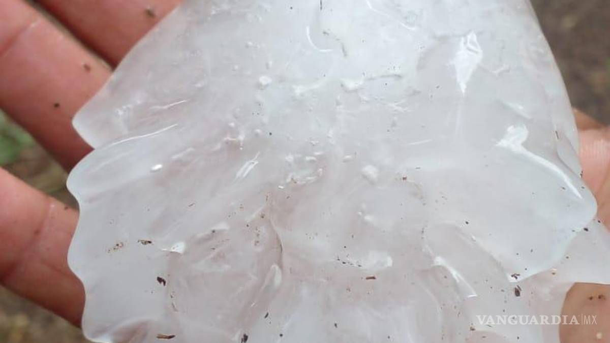 Registra Anáhuac, Nuevo León, caída de grandes bolas de granizo