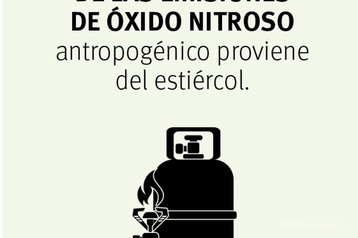 $!Reingeniería humana contra el cambio climático