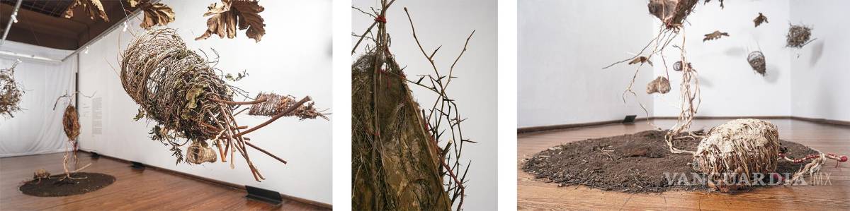 $!Obra de Silvia Umpierrez.