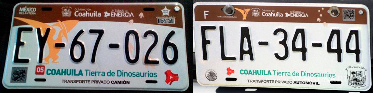 $!Se hace 'chiquito' el pterodáctilo de la placa de Coahuila