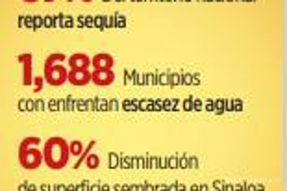$!Bajan 50% cosechas por falta de lluvias y ausencia de políticas públicas