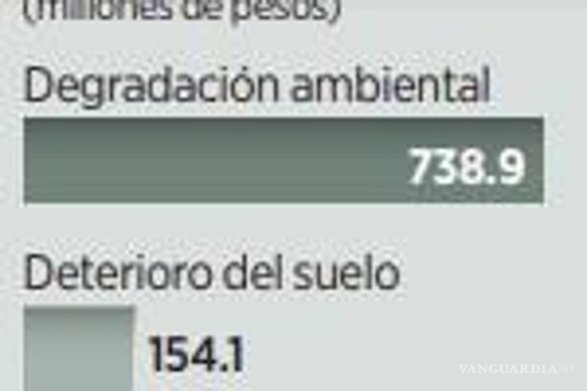$!Aumenta el costo de la degradación ambiental en el aire en México