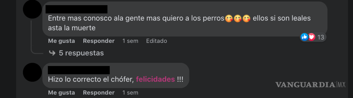 $!Saltillo: perro que ‘viaja’ en combi causa polémica; el chofer es su dueño y lo lleva para cuidarlo