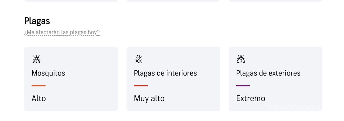 $!Pronostican ‘plagas extremas’ de insectos y bichos durante el fin de semana en Saltillo y zonas de Coahuila