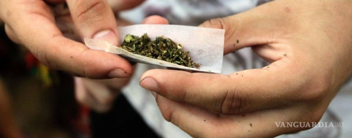 $!La mariguana no es tan adictiva, asegura experta