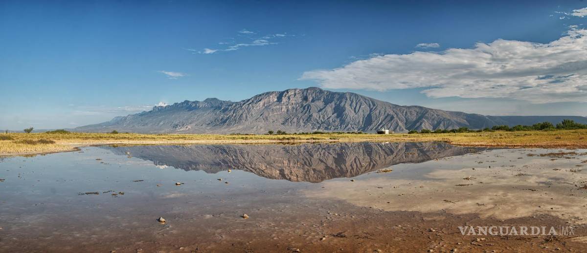 $!Presenta Daniel Bates Hurtado el ‘Desierto vivo’ de Coahuila