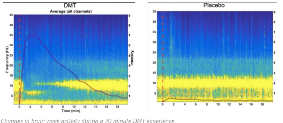 $!Estudio científico explica por qué un viaje de DMT es una realidad alternativa