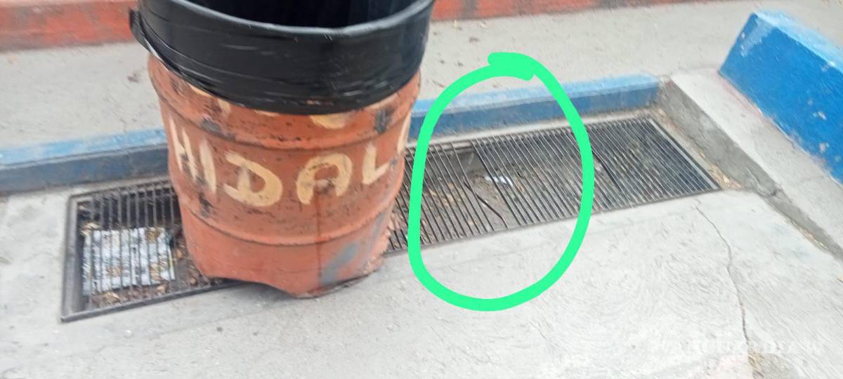 $!La señora. Norma Angélica muestro la alcantarilla sin protección en la escuela Miguel Hidalgo, donde su hijo sufrió un accidente.