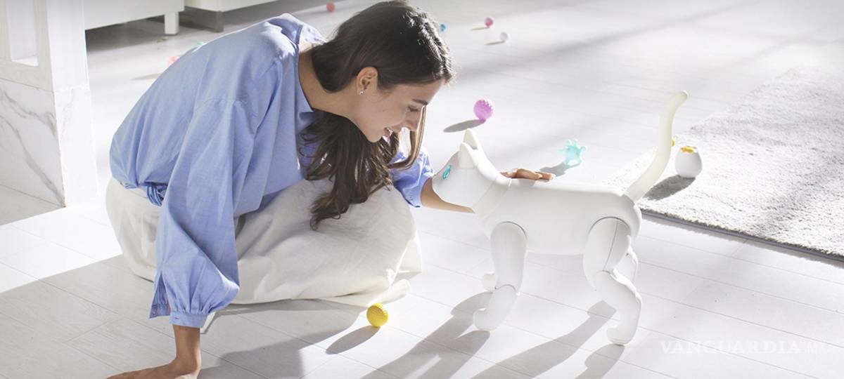 $!MarsCat, mascota biónica recibe caricias.