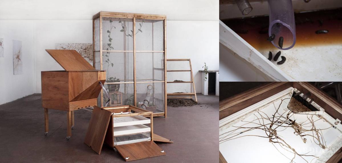 $!Obras de Virginia Buitrón.