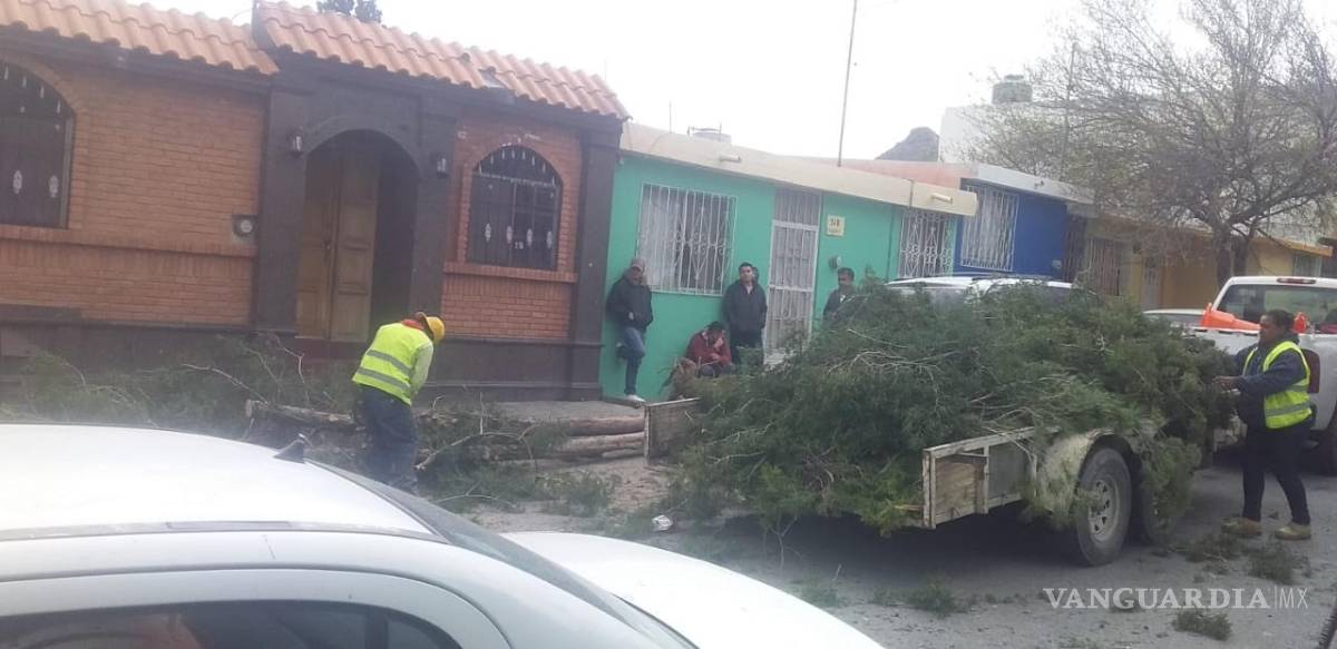 $!Fuertes vientos tumban parte de la fachada de un edificio en la zona Centro de Saltillo