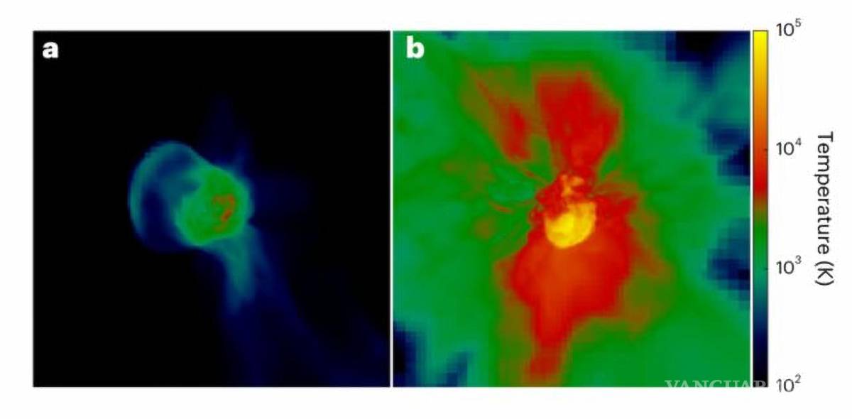 $!Explosiones de supernovas primordiales, que muestran el gas de fondo en tonos azules y negros y el material expulsado en tonos amarillos y rojos para las estrellas en explosión simuladas más pequeñas (a) y más grandes (b).