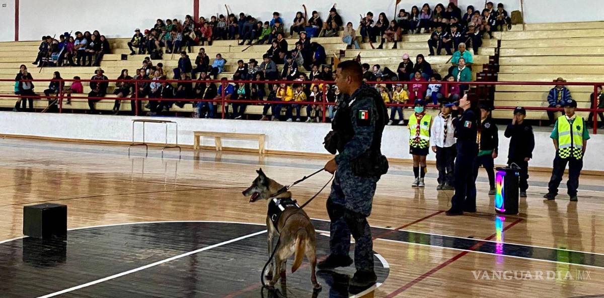 $!El agrupamiento K9 realizó una demostración ante integrantes de los Boy Scouts de México Provincia Coahuila, en el Gimnasio Municipal de Ramos Arizpe.