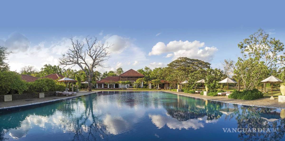 $!Alojamientos ecológicos, remansos de paz... y lujo