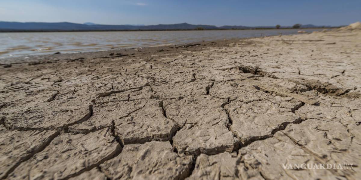 $!Las regiones Norte, Centro y Carbonífera de Coahuila registra sequía.