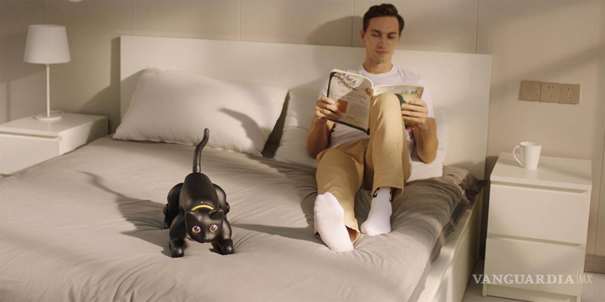 $!Robot MarsCat, junto a su dueño.