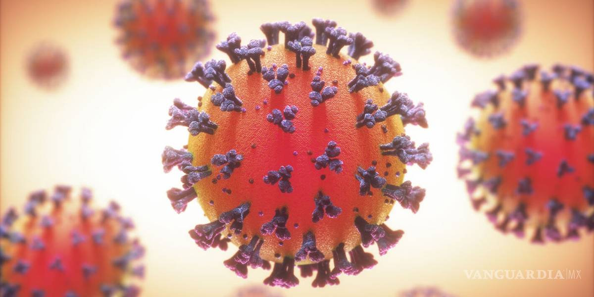 $!Así es como el coronavirus engaña al cuerpo humano... ¡y lo hace más difícil de combatir!