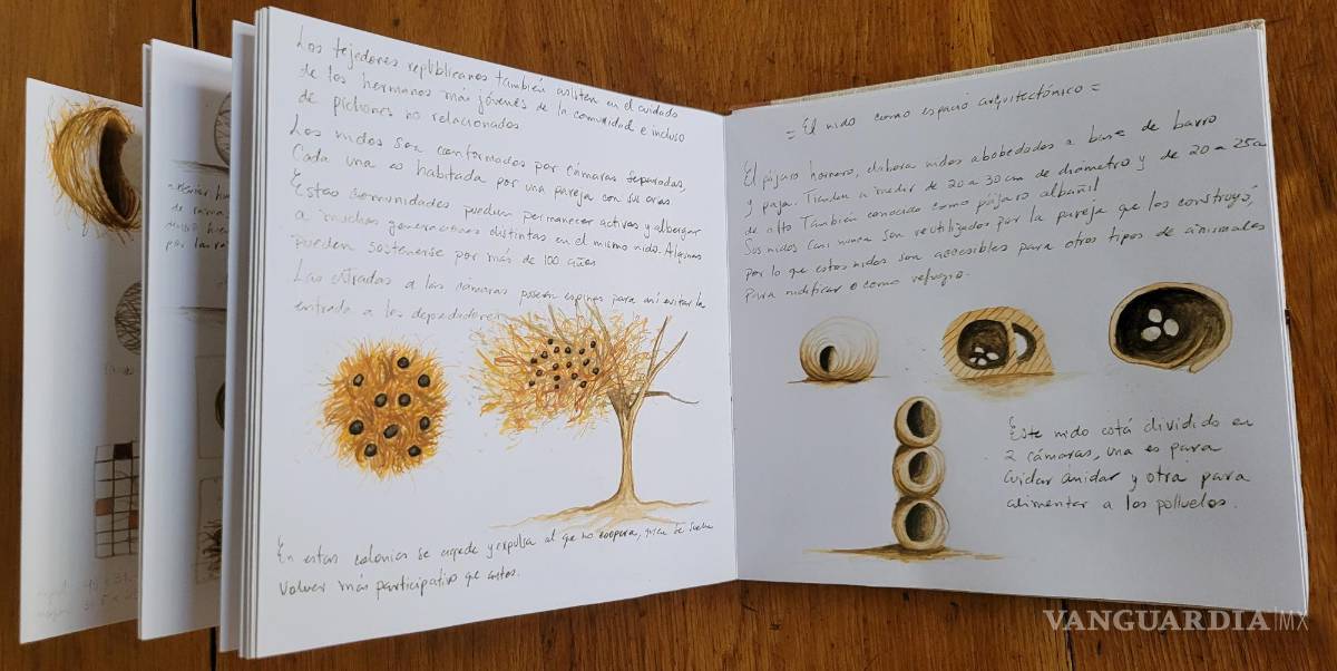 $!Origen y transformacion, Libro de artista, Mar Gasca Madrigal, 2020.