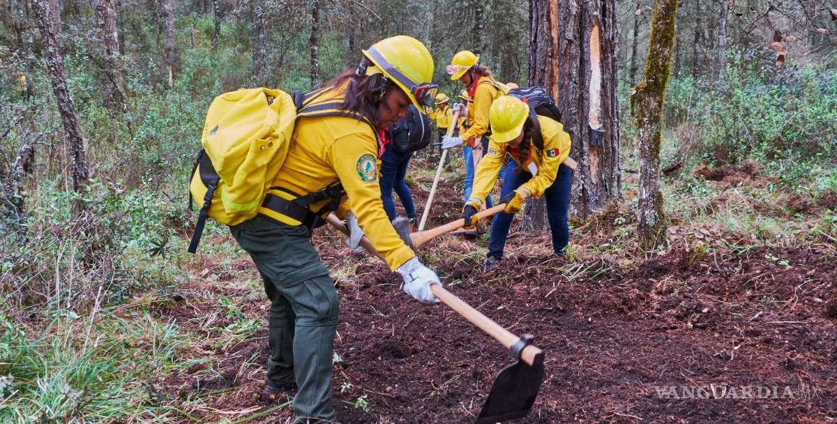 $!Conafor tendrá 50% menos presupuesto contra incendios