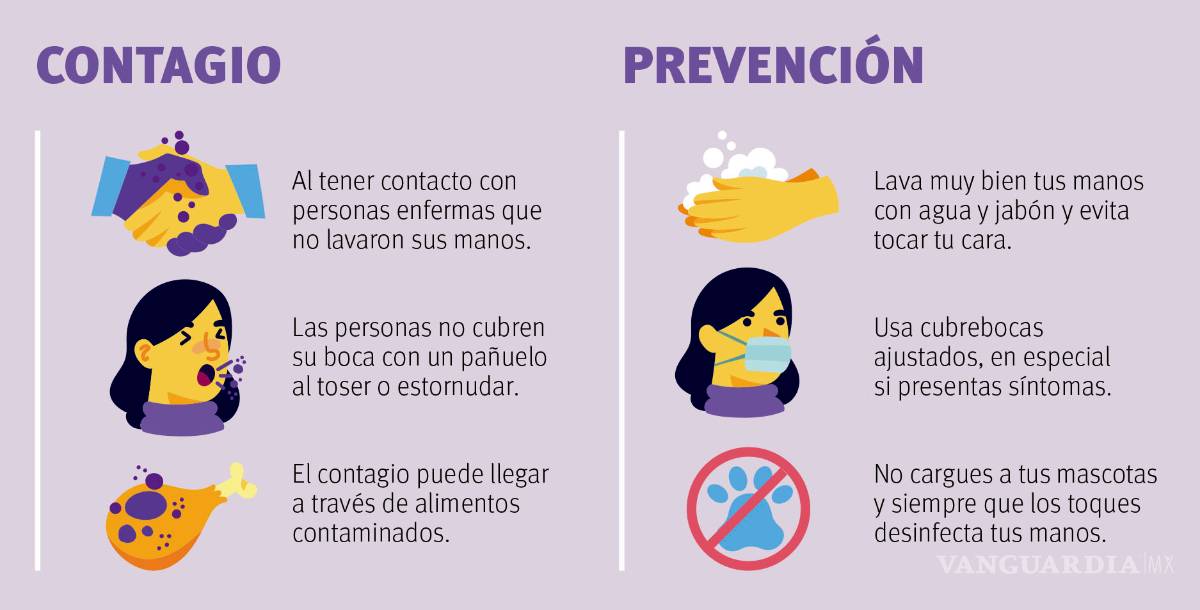 $!La pandemia de coronavirus: Algunos poco conocidos hechos sobre el COVID-19
