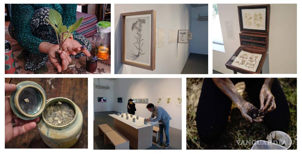 $!Obra de Alejandra González Soca.