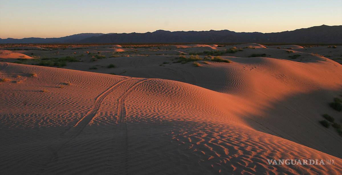$!Viesca: Un oasis en el desierto.