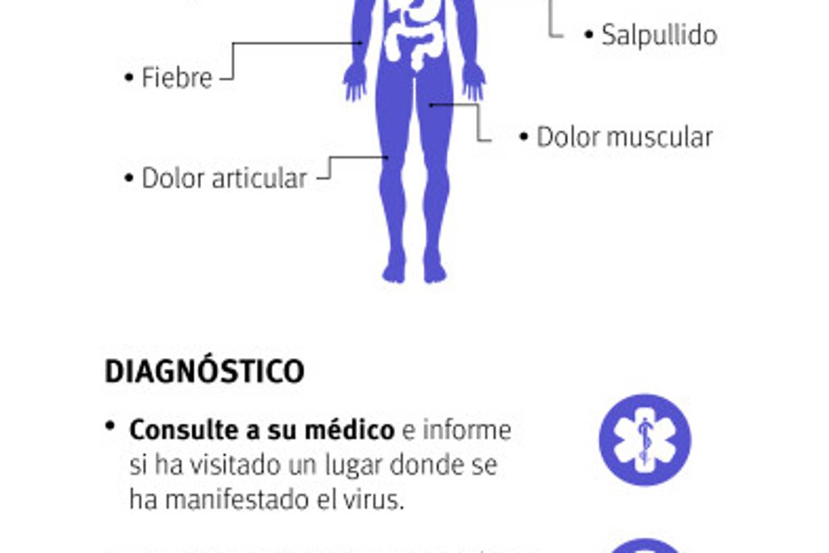 $!Zika, Chikungunya o Dengue, ¿Cuál es más peligroso?