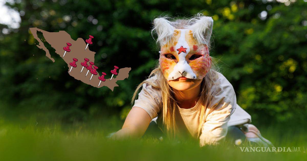 ‘Movimiento therian’: el derecho a ser imbécil