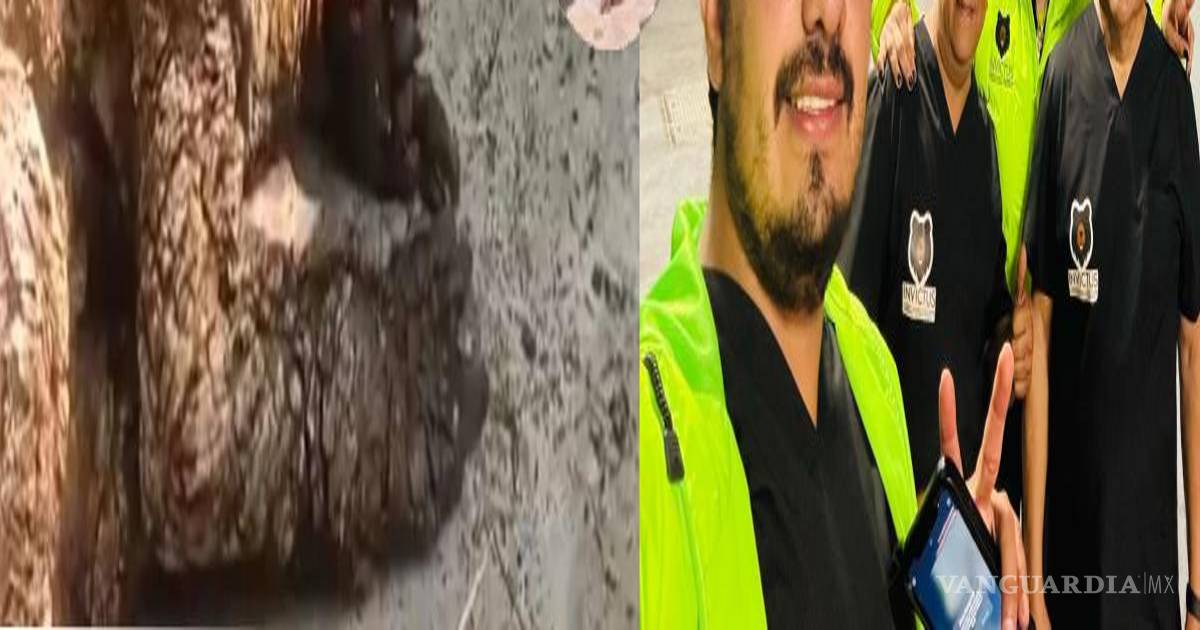 $!La osita Mina tal cual estaba al ser rescatada por Profepa del mal trato criminal que recibía en La Pastora