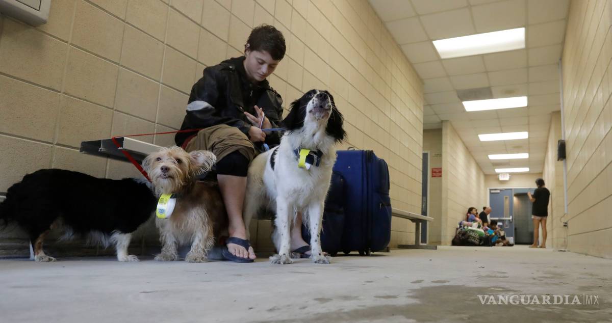 $!En Vivo: Así avanza el huracán Harvey a Texas, se degrada a categoría 1