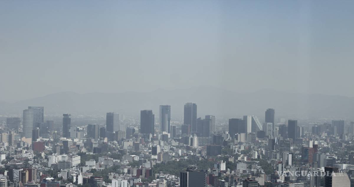 $!Contaminación del aire acorta esperanza vida unos 20 meses a niños recién nacidos, según un estudio