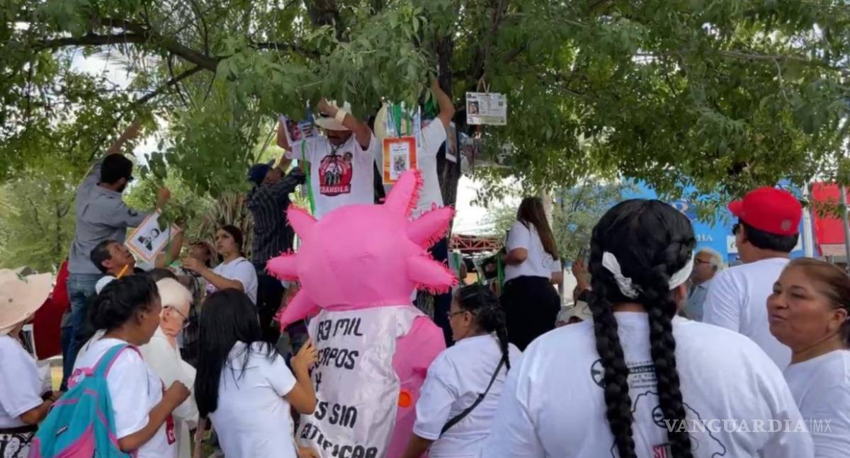 $!Madres y familiares colgaron fotografías y fichas de búsqueda en las ramas del árbol de la Plaza Principal, dando vida al Árbol de la Esperanza como espacio de memoria.