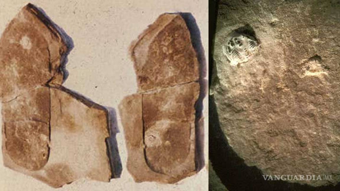 $!¿Baterías en el año 250 A.C.?... Sorprendentes objetos en la Tierra fuera de su tiempo