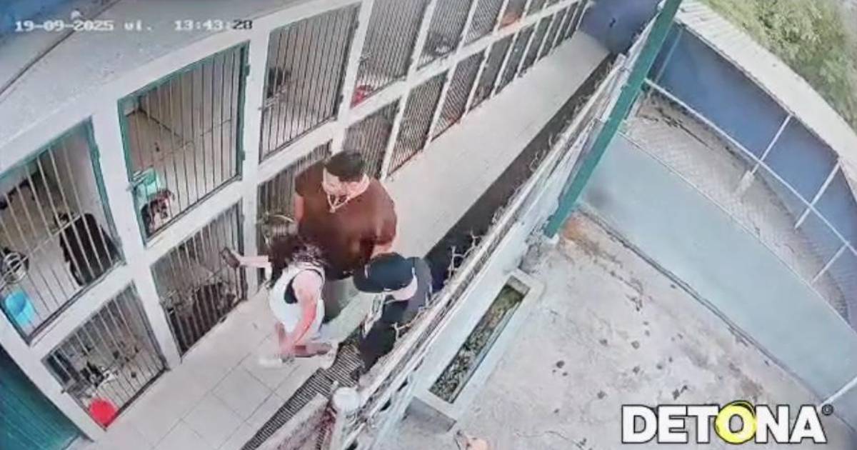 Pululan mascotas género humano, en la propaganda política