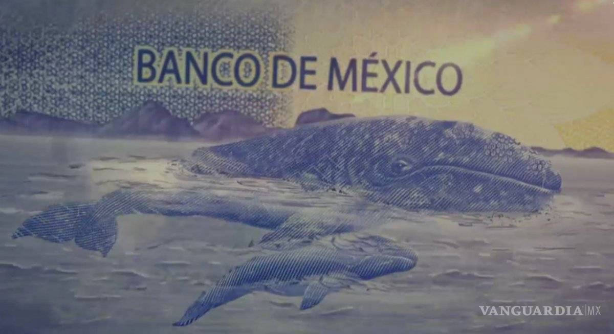 $!Así es el nuevo billete de 500 pesos