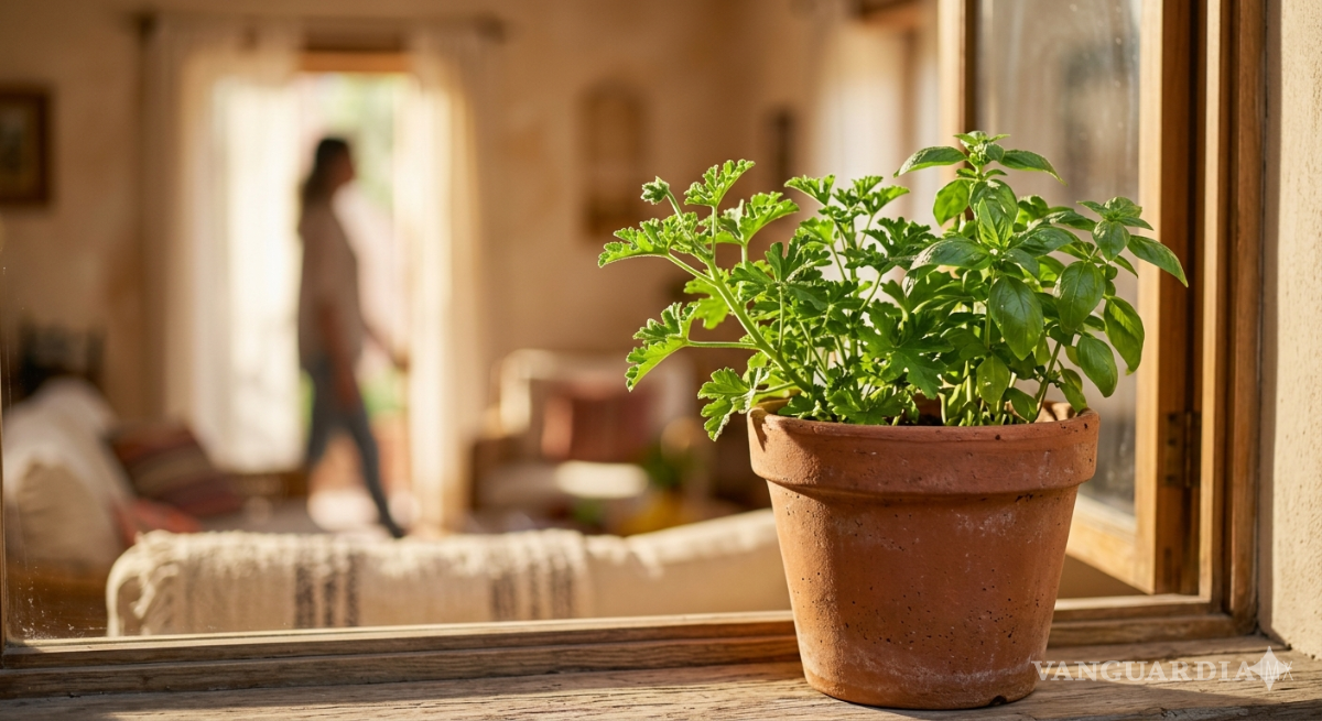 $!¡Olvídate de los químicos! 5 plantas que aleja a las cucarachas de tu hogar y huelen delicioso