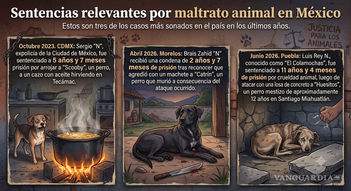 $!Caso Rocky: Morelos, Guerrero y Oaxaca encabezan las penas más severas por maltrato animal; Coahuila alcanza hasta 8 años